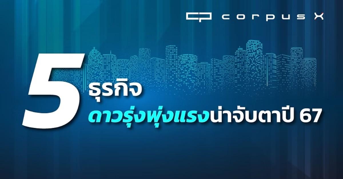 5 ธุรกิจมาแรง ปี 2567 ธุรกิจดาวรุ่งพุ่งแรง น่าลงทุน รายได้ดี