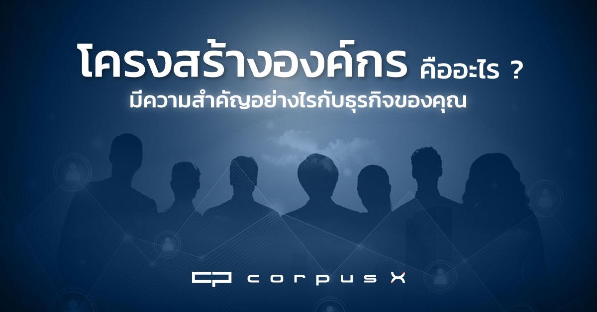 โครงสร้างองค์กร คืออะไร? มีความสำคัญอย่างไรกับธุรกิจของคุณ